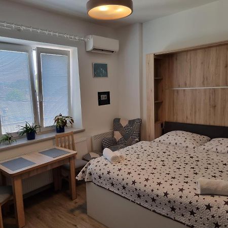 Ferienwohnung Garsoniera Dukla 289 Decin Exterior foto
